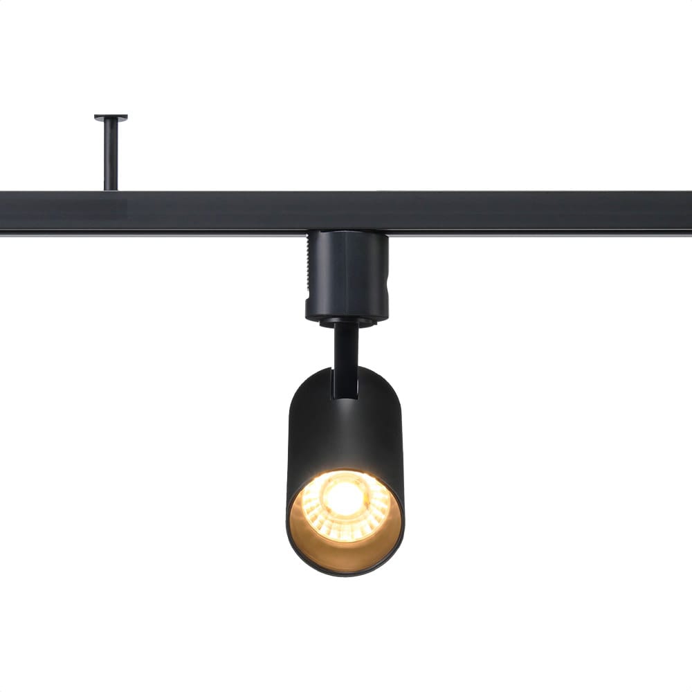 (4)電球色ブラック