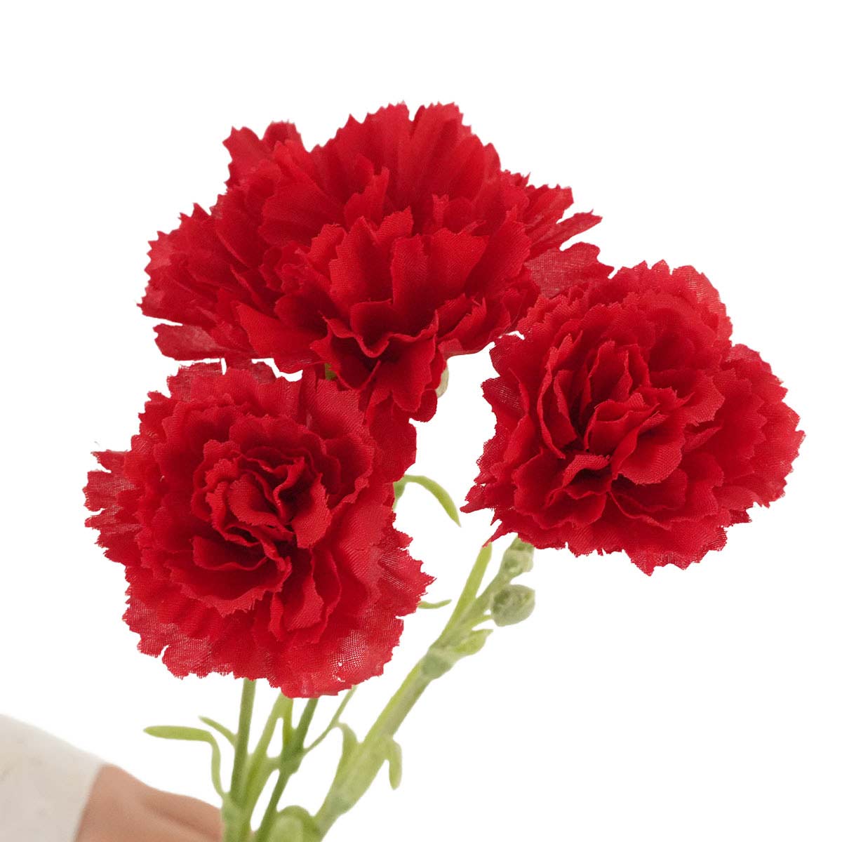 (1)レッド 部分アップ