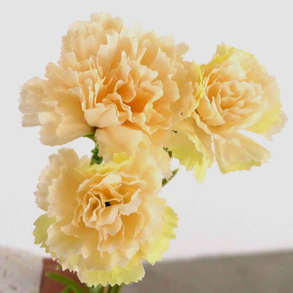 (3)クリーム 部分アップ