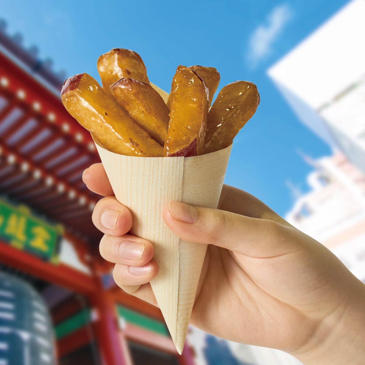 (3)直径7×高さ18[13]cm 使用例