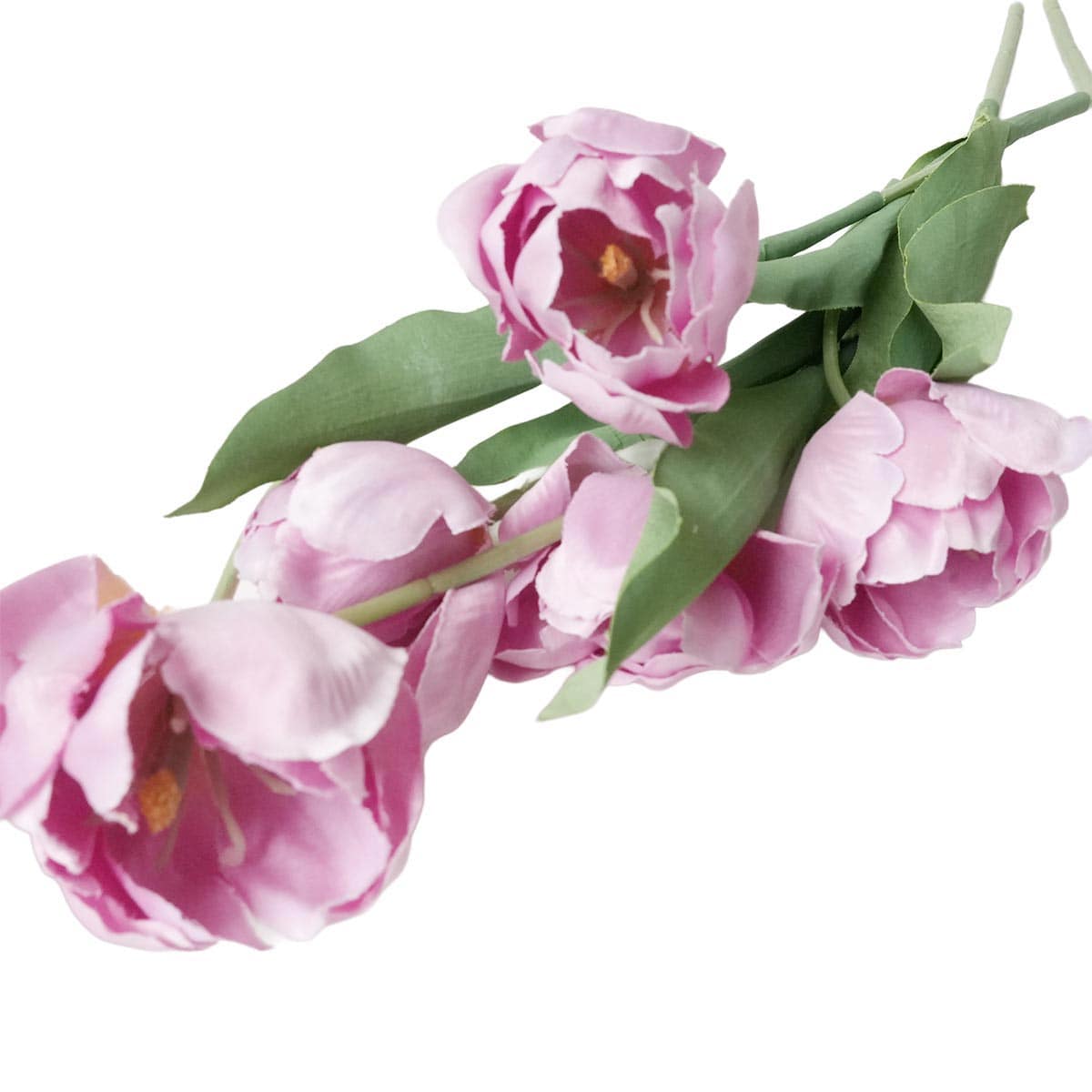 (1)ライトピンク