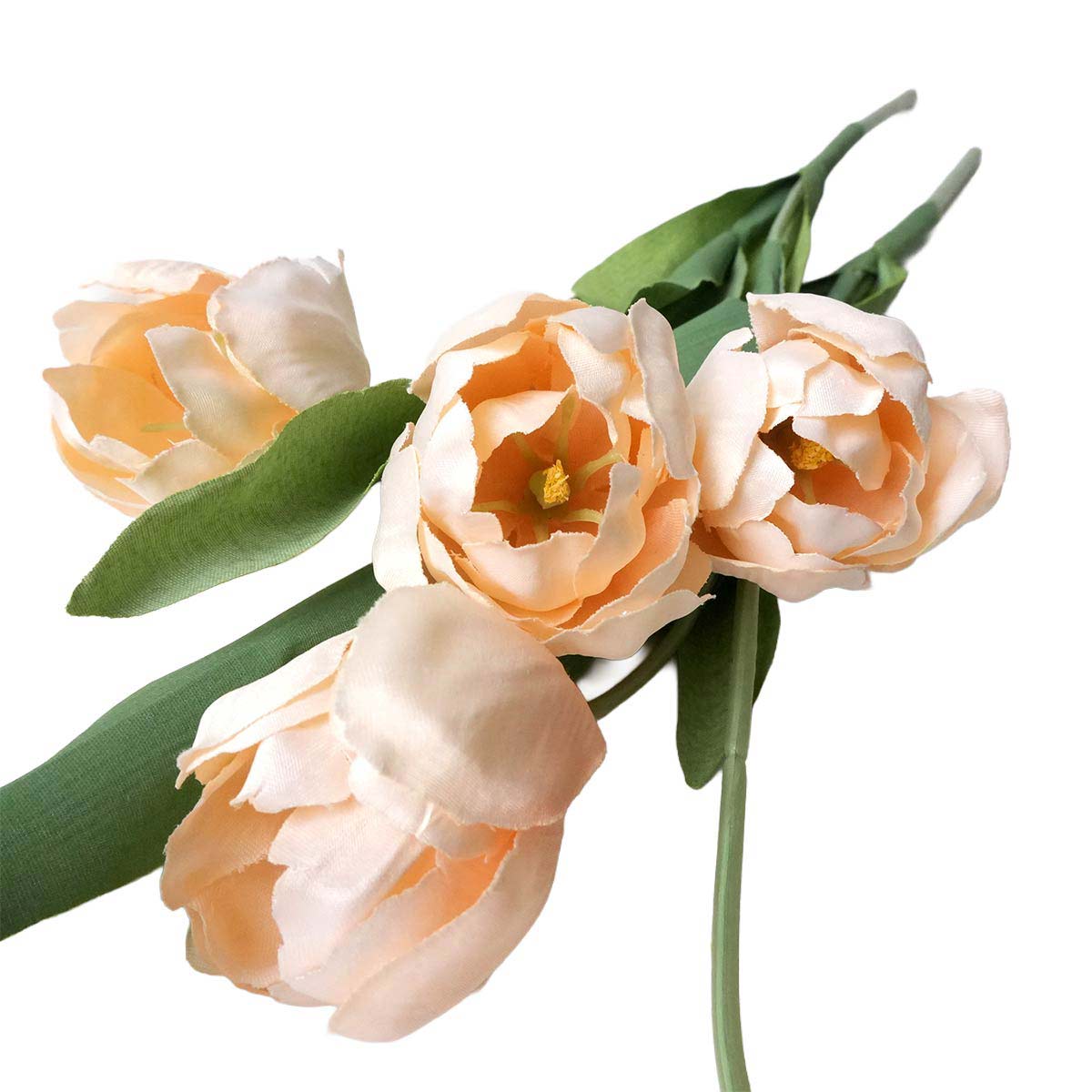 (3)ライトベージュ