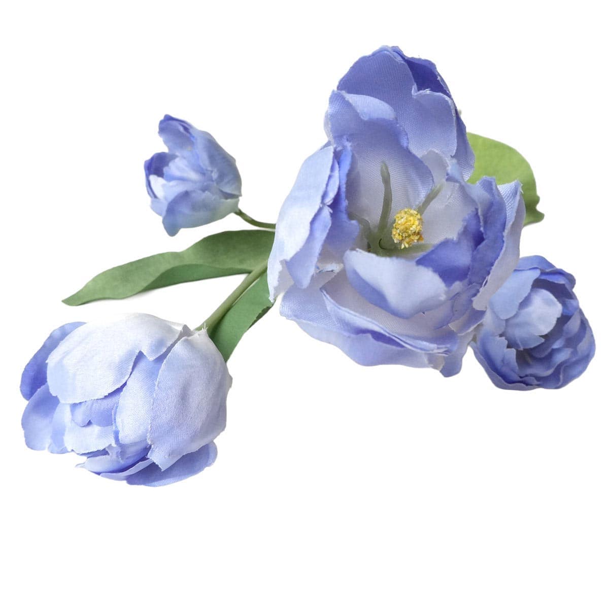 (5)ライトブルー