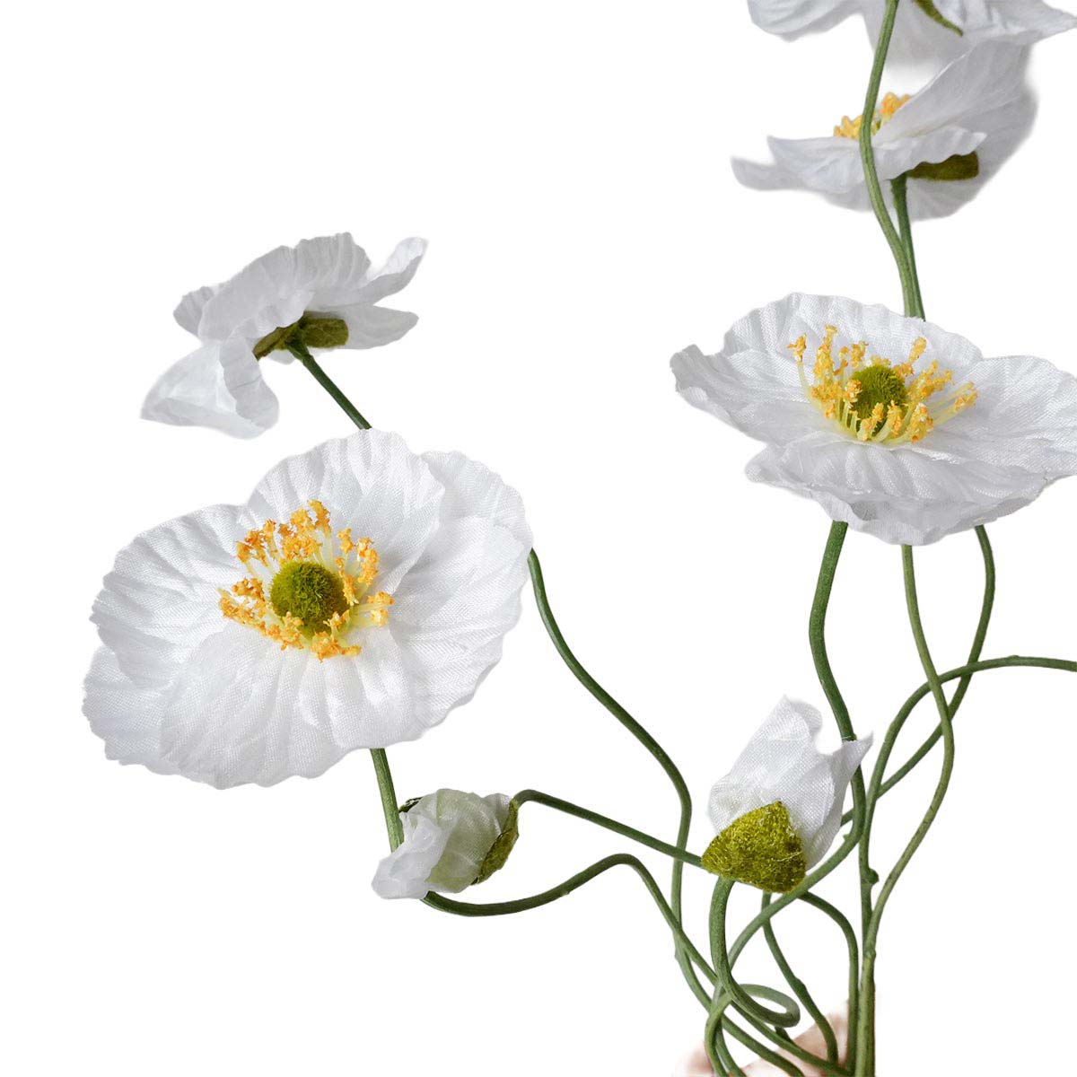 (1)ホワイト　部分アップ