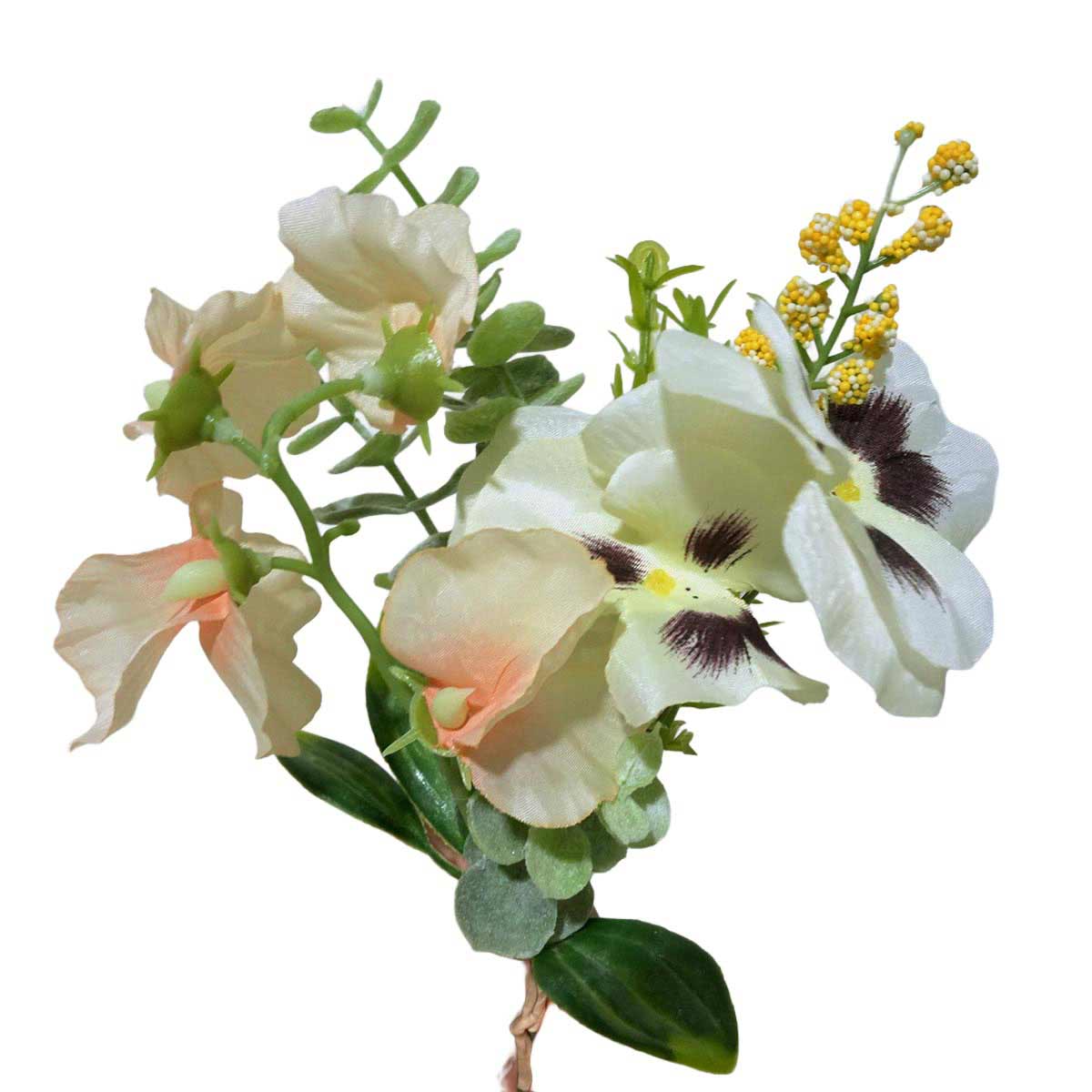 (1)クリームピーチ