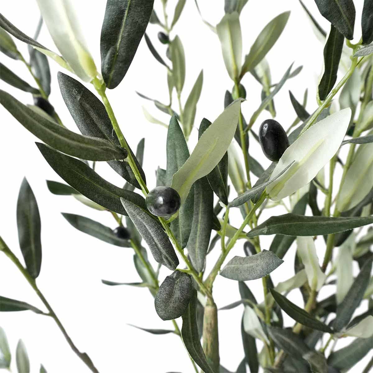 (2)オリーブ 部分アップ