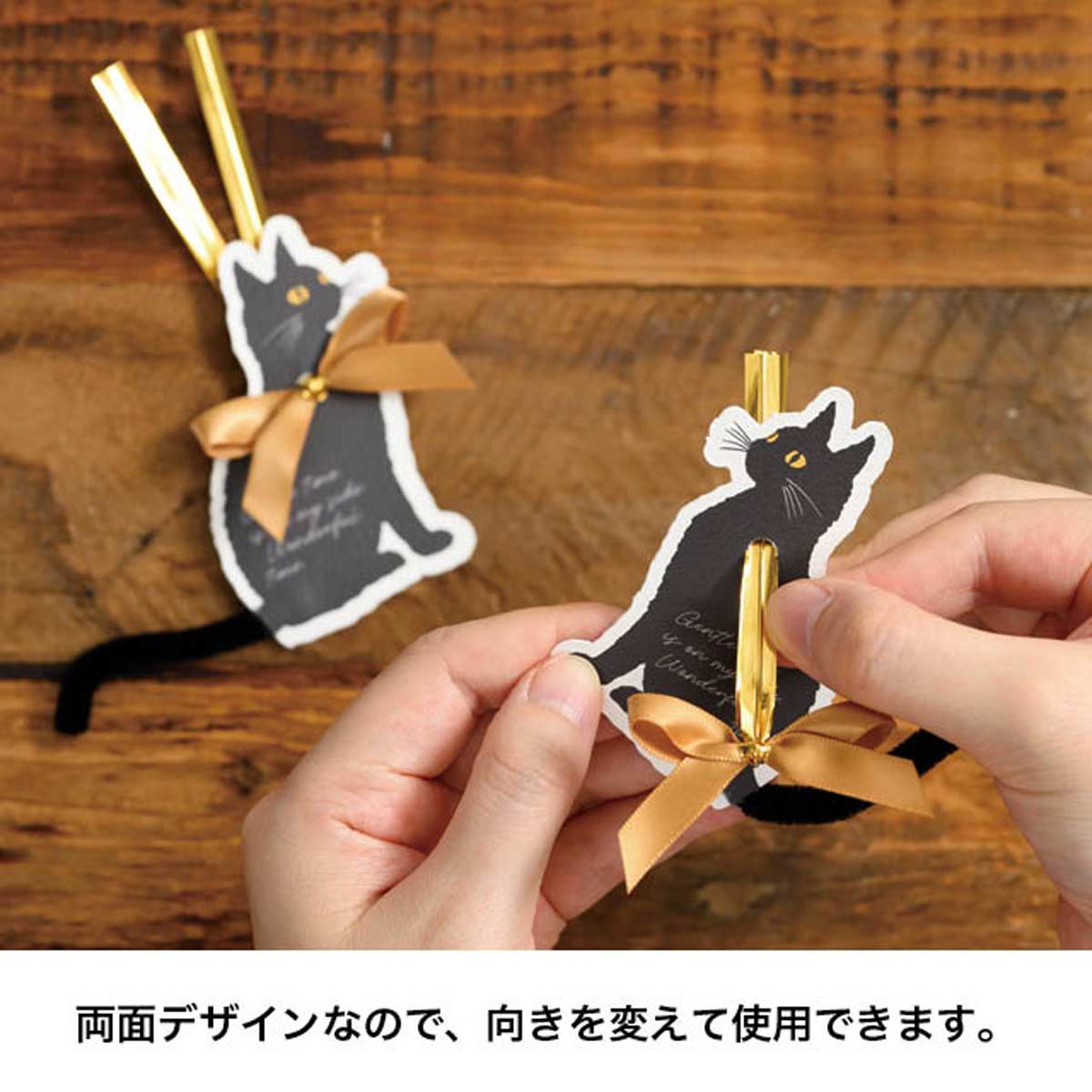 10個 ワイヤータイ ブラックキャット