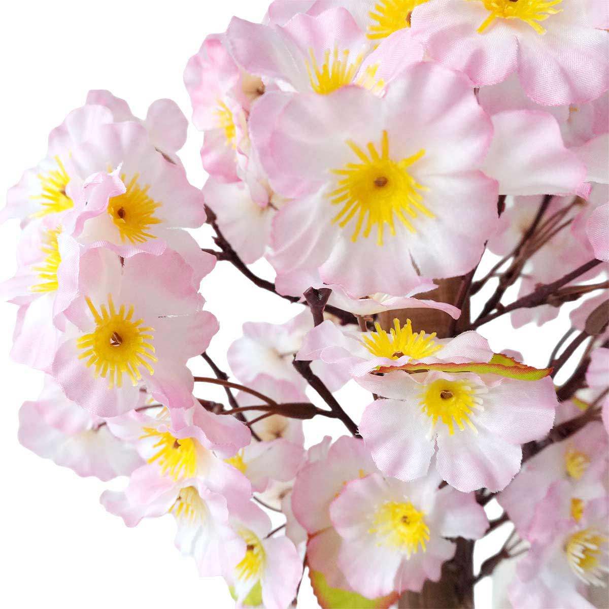 (1)高さ40cm 花部分アップ