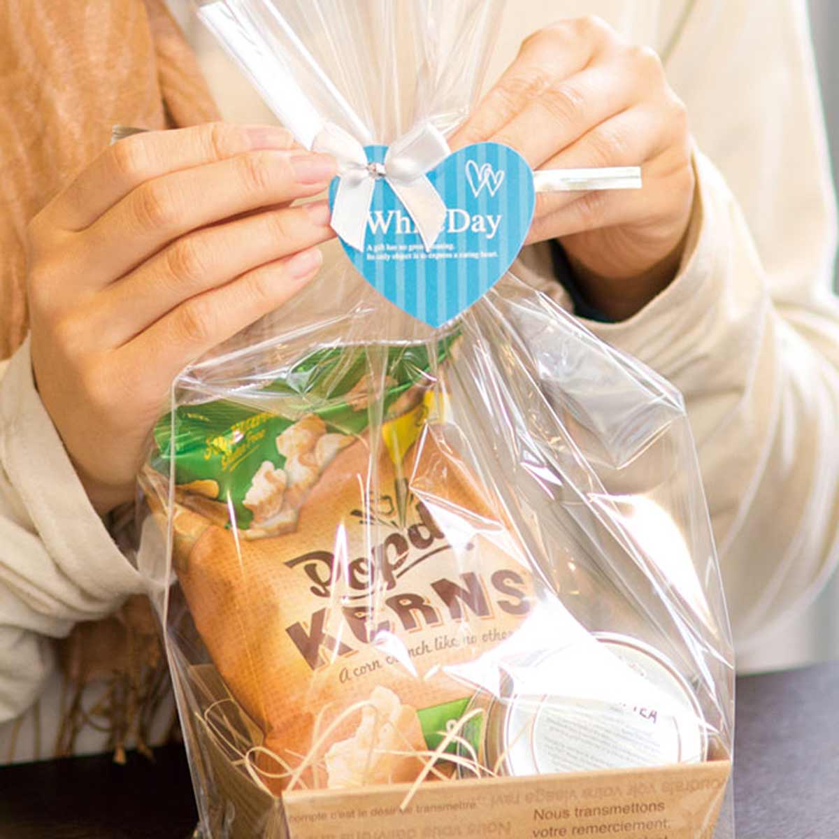 (3)シャイン 使用例