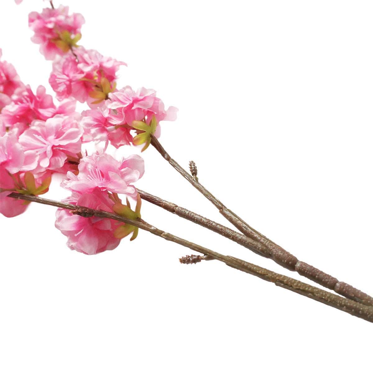 (2)ビューティー　枝アップ