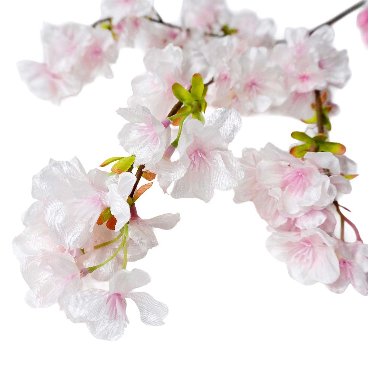 (3)ホワイトピンク