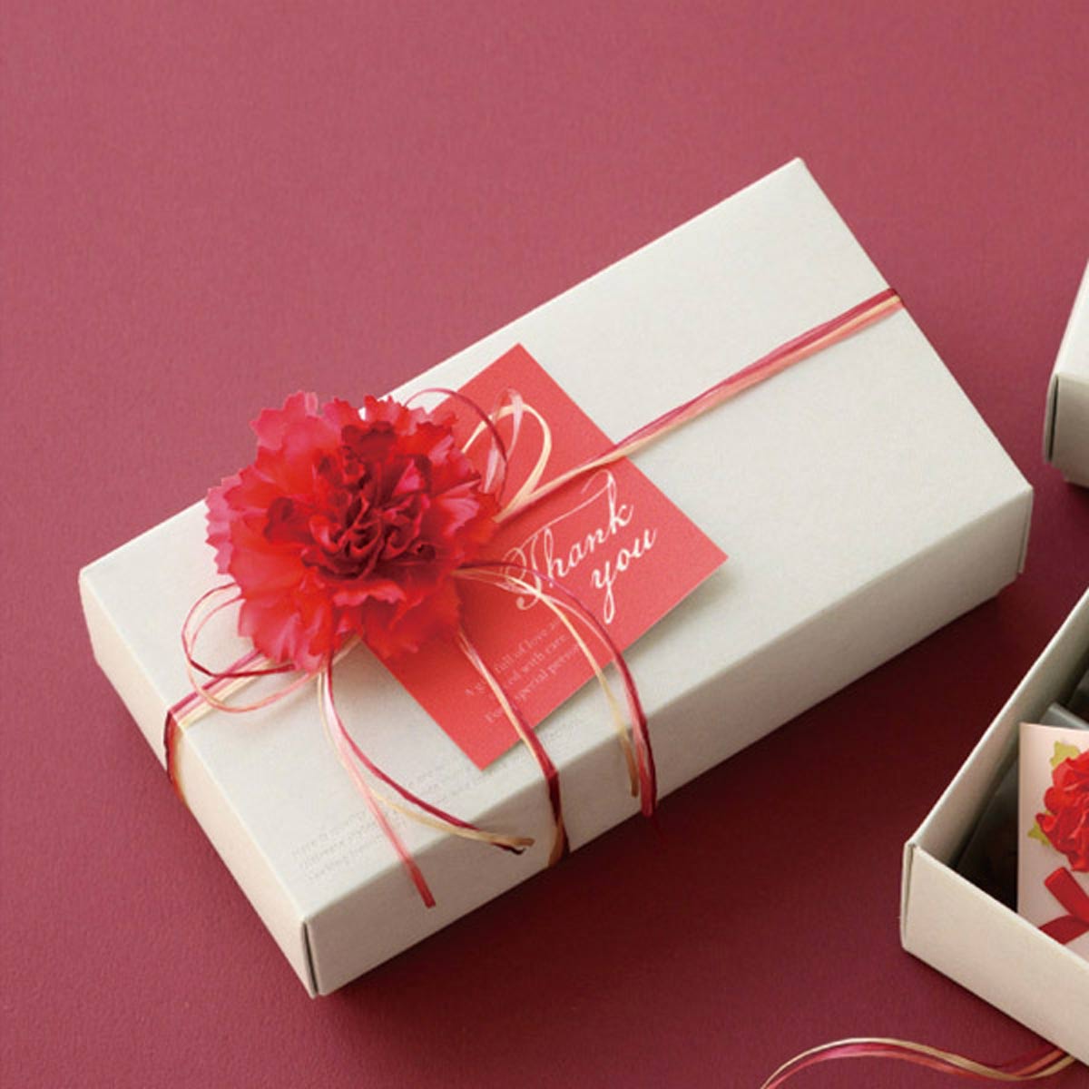 (10)フルリールレッド 使用例