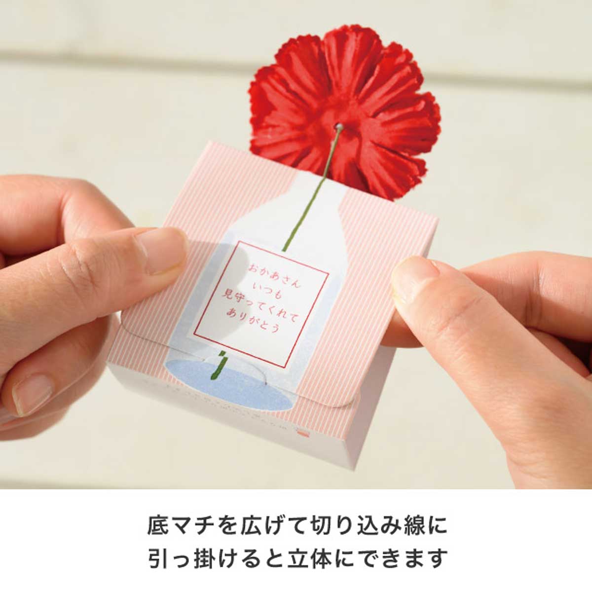 (7)ミニカーネーション