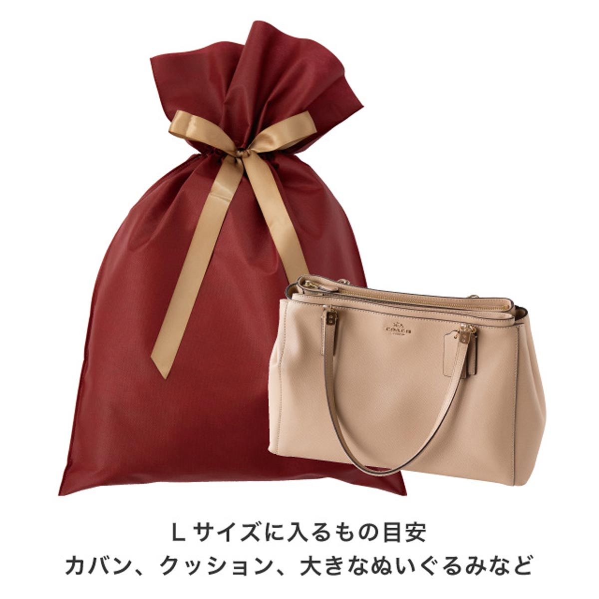 (5)51×76[56]cm 使用例