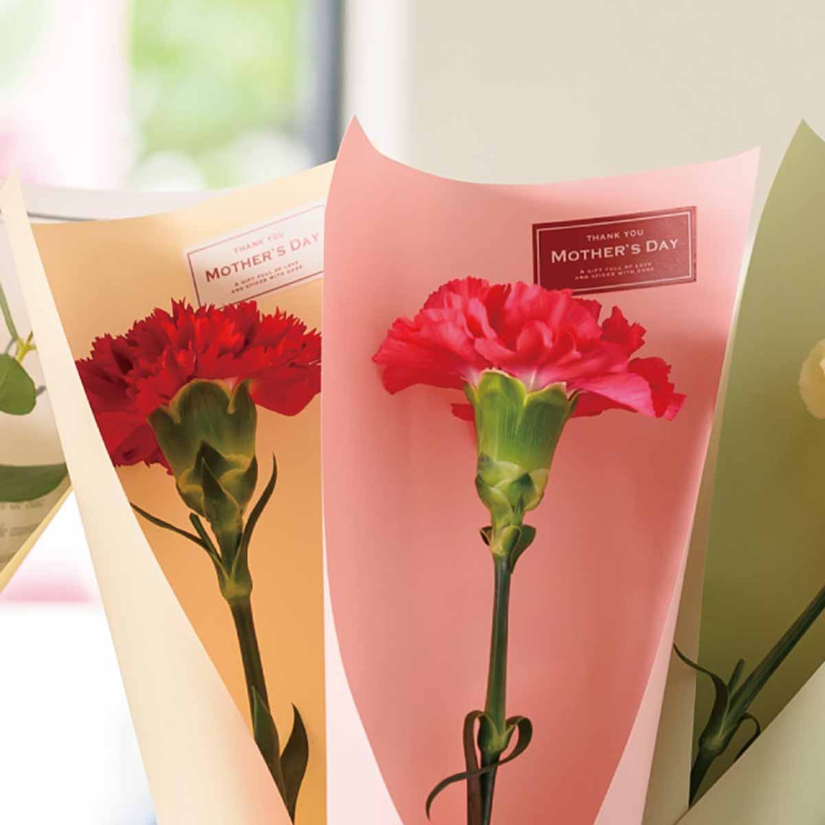 (16)ワイン/ホワイト 使用例