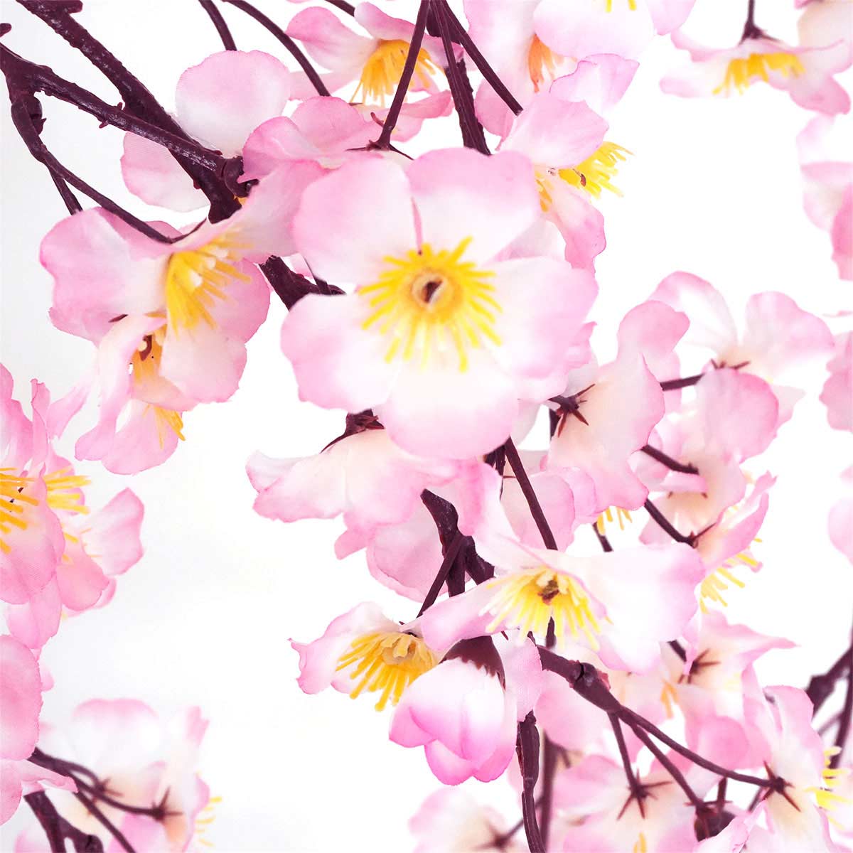 (1)150cm 部分アップ