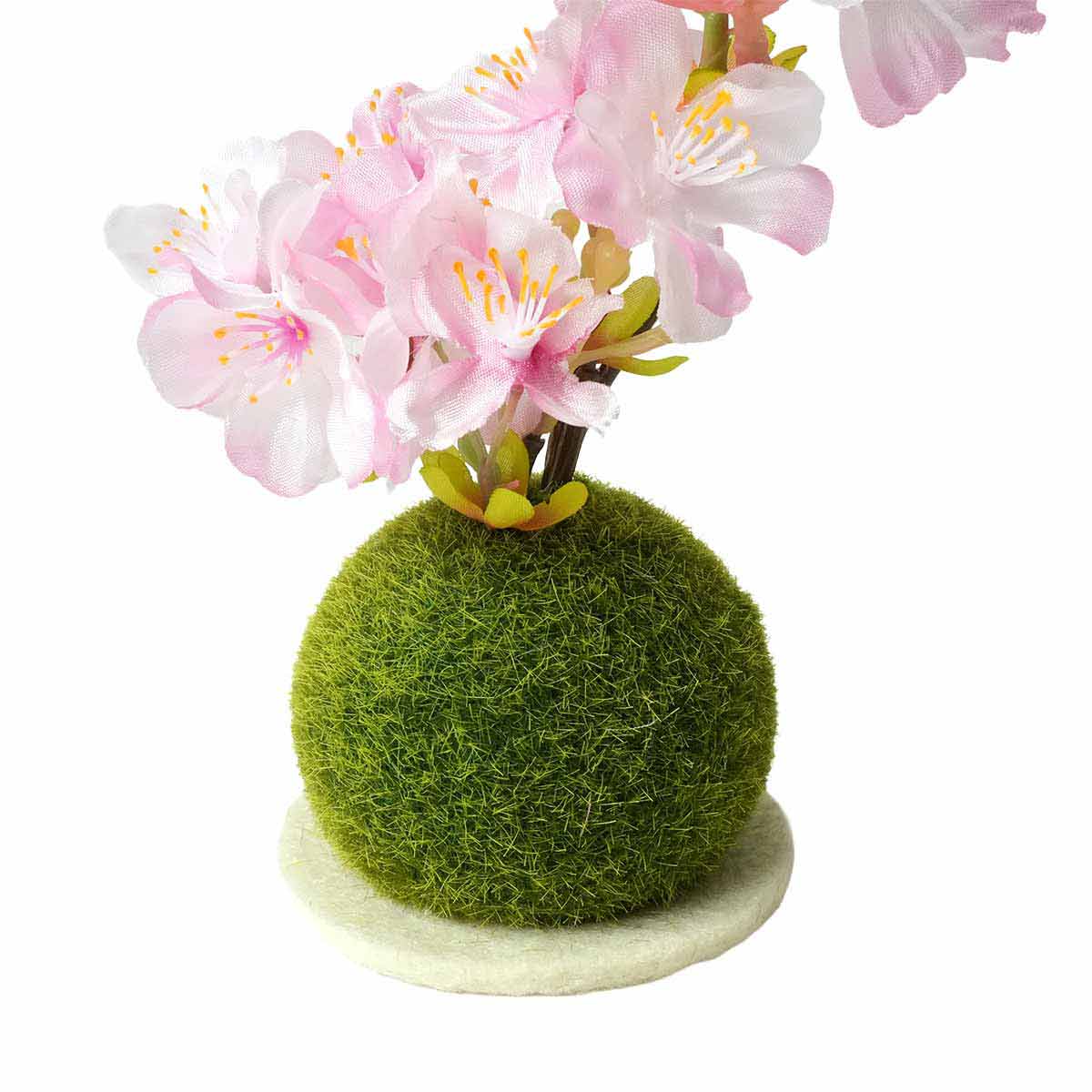 (1)ソフトピンク