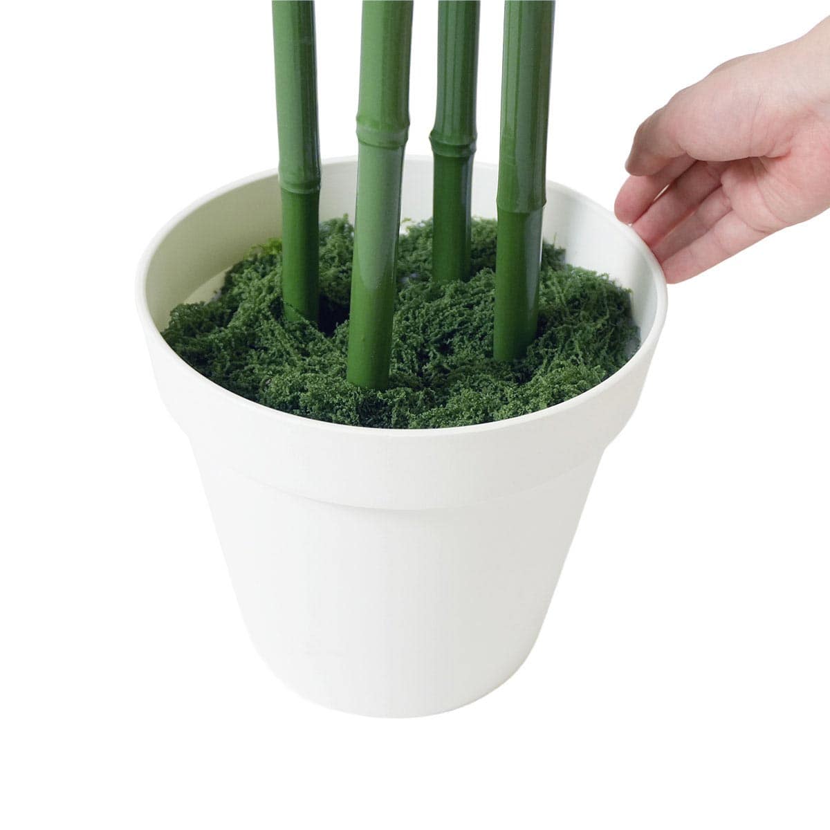 (1)バンブー 1台