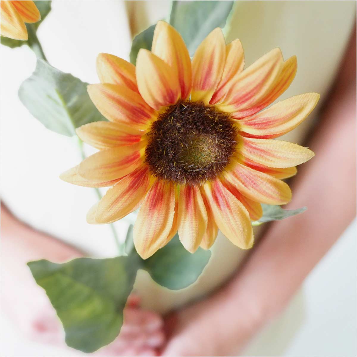 (2)オレンジイエロー