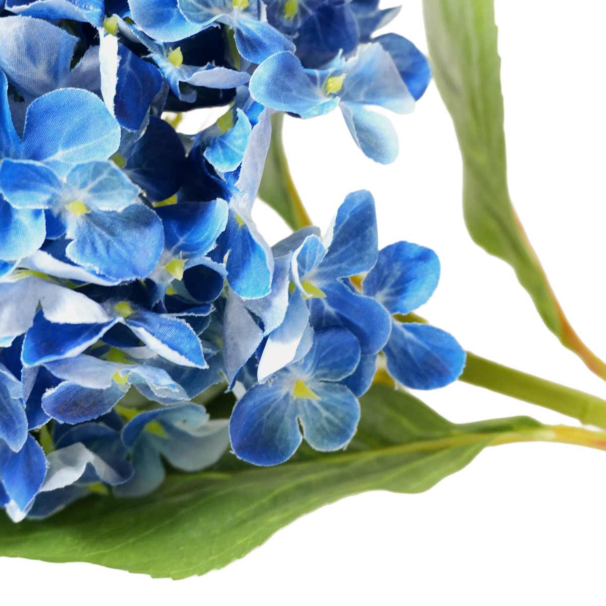 (4)ディープブルー