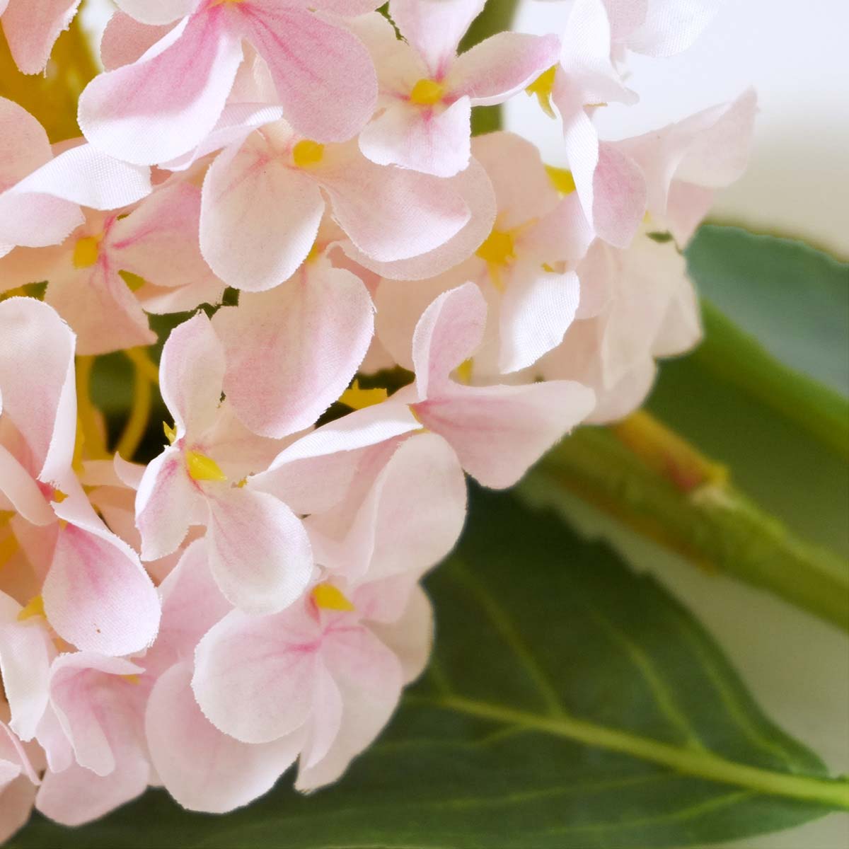 (5)ライトピンク