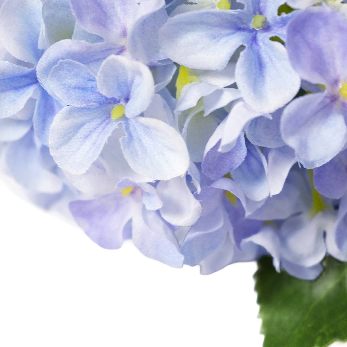 (2)ライトブルー