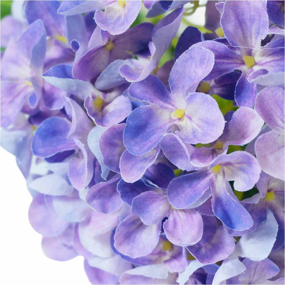 (3)ラベンダーパープル