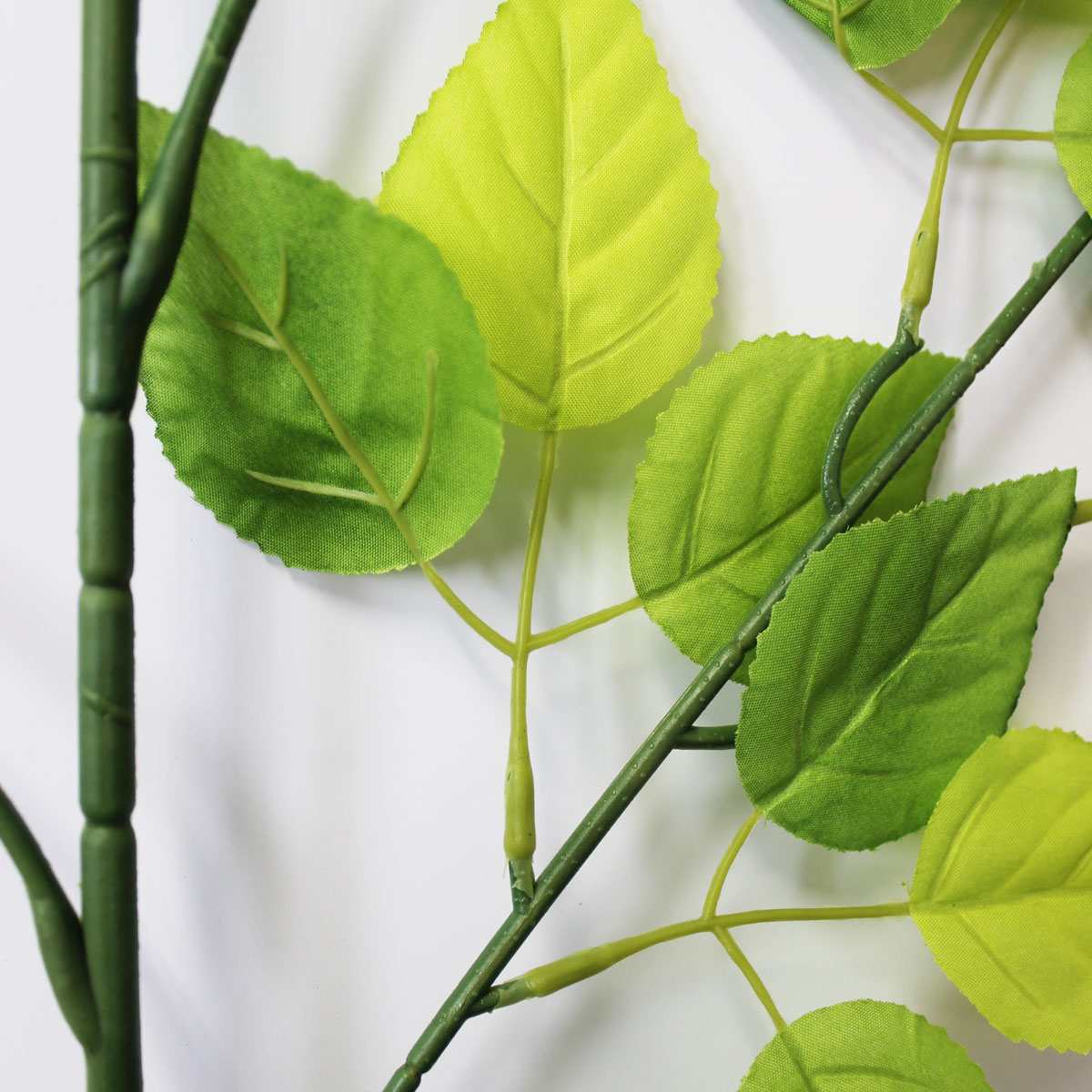 (2)大枝 部分アップ