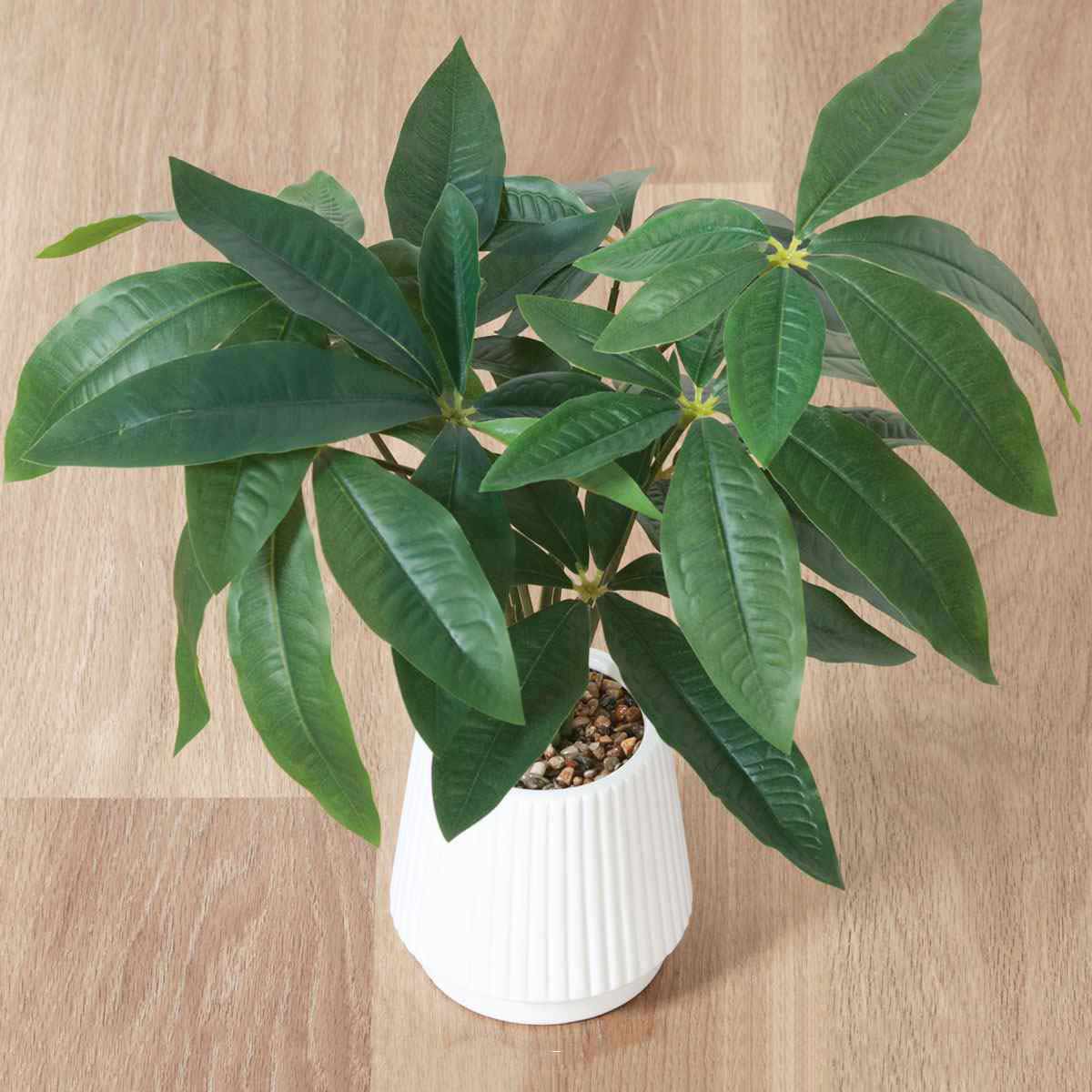 フェイクグリーン セラミックポット パキラ