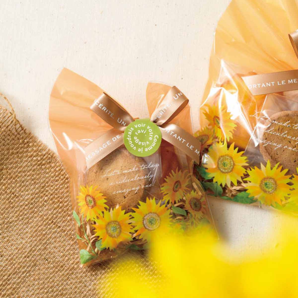 (1)12×18cm 使用例