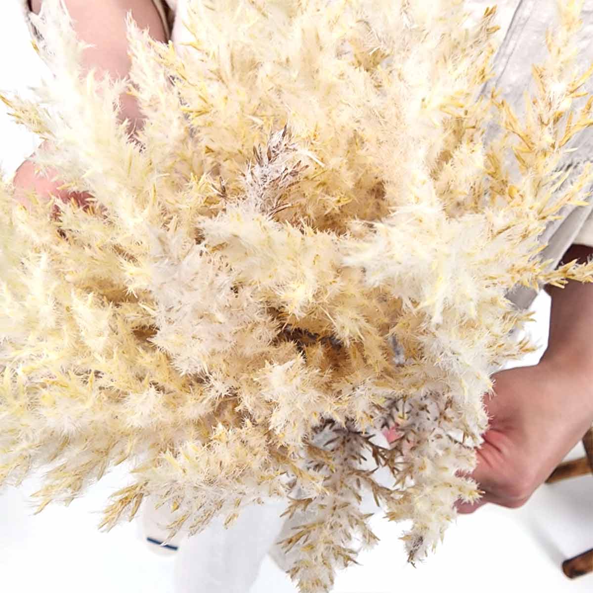 クリーミーパンパスバンドル32cm（造花）