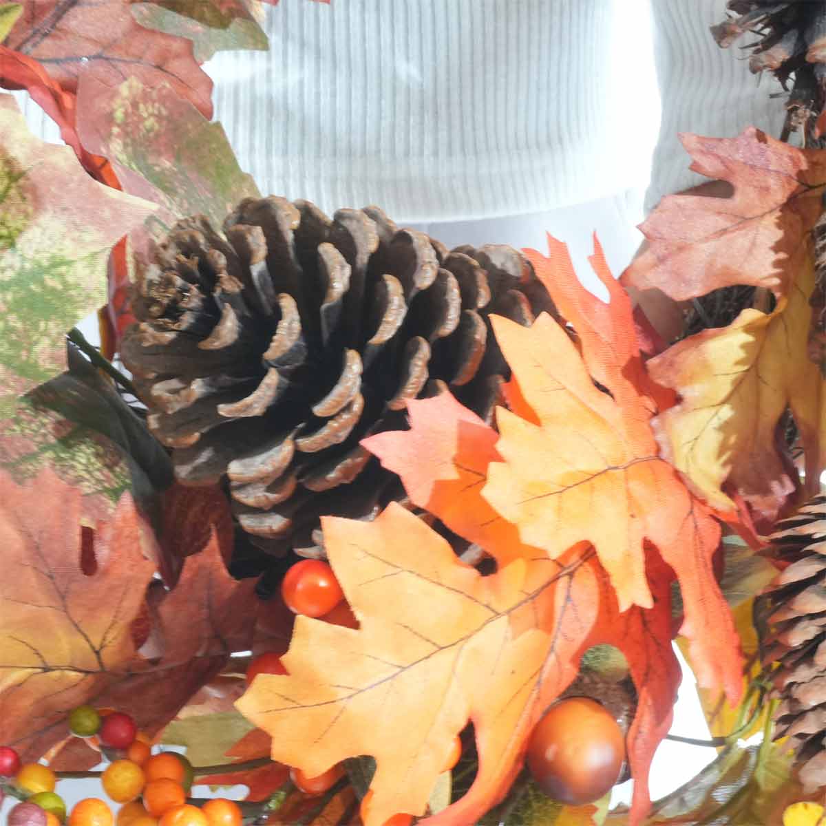 (1)松ぼっくり アップ