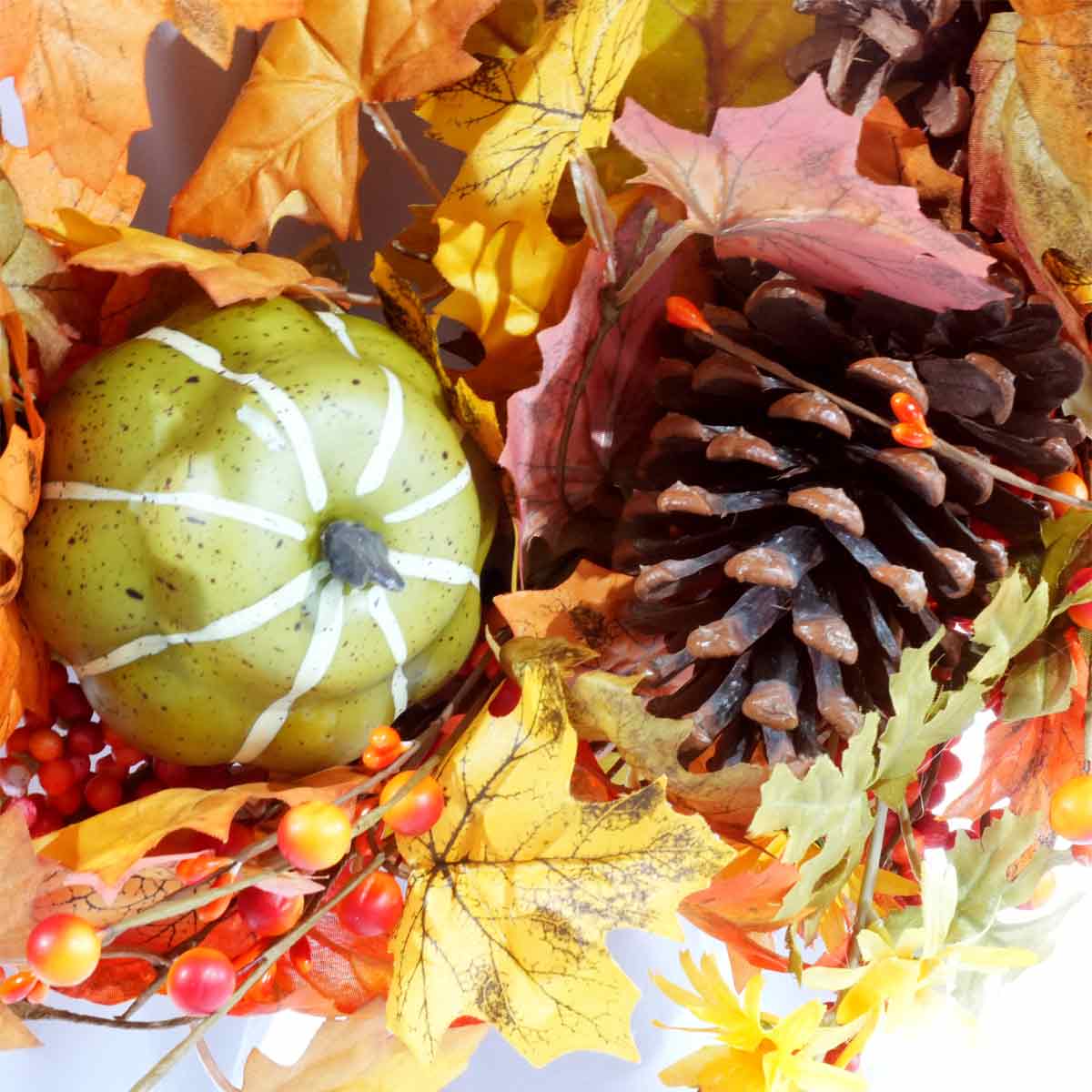 (2)パンプキン アップ