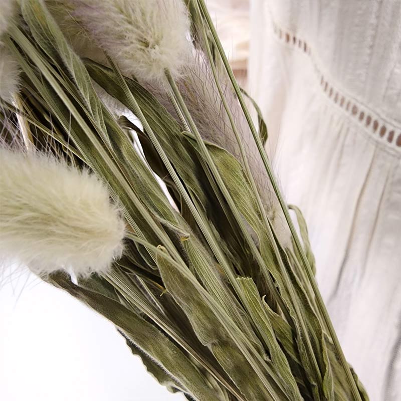 (3)ラグラス アップ