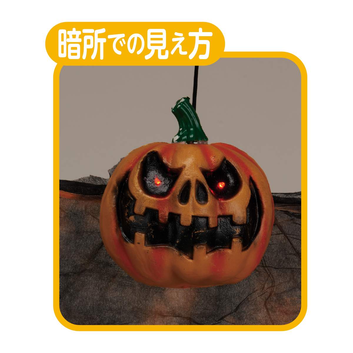 暗所での見え方