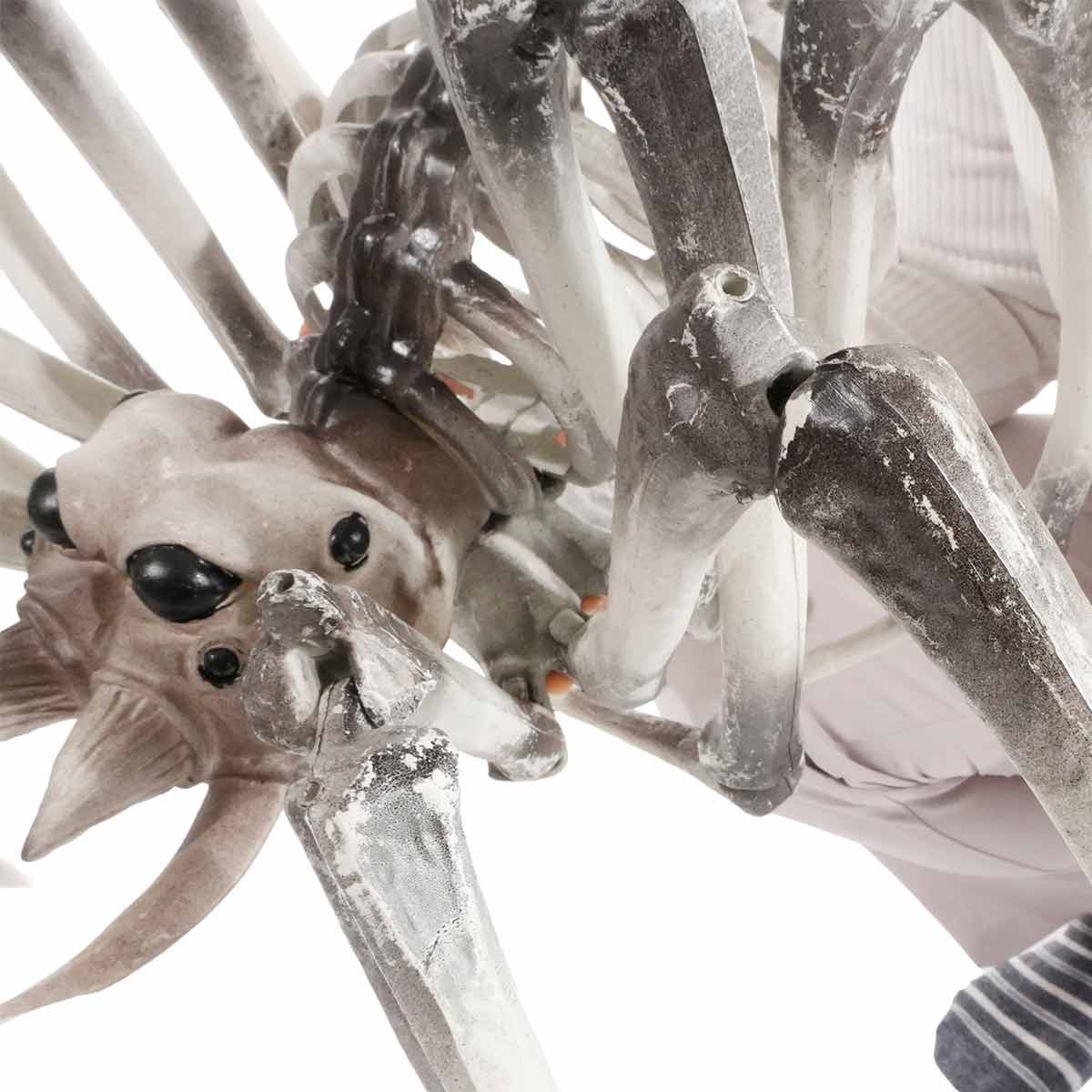 ジャイアントボーンスパイダー幅81cm