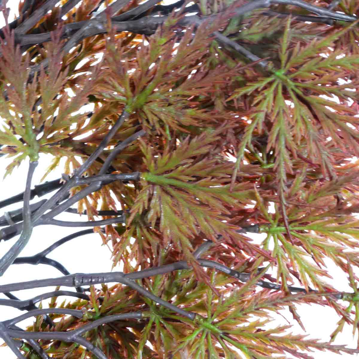 (1)グリーンレッド