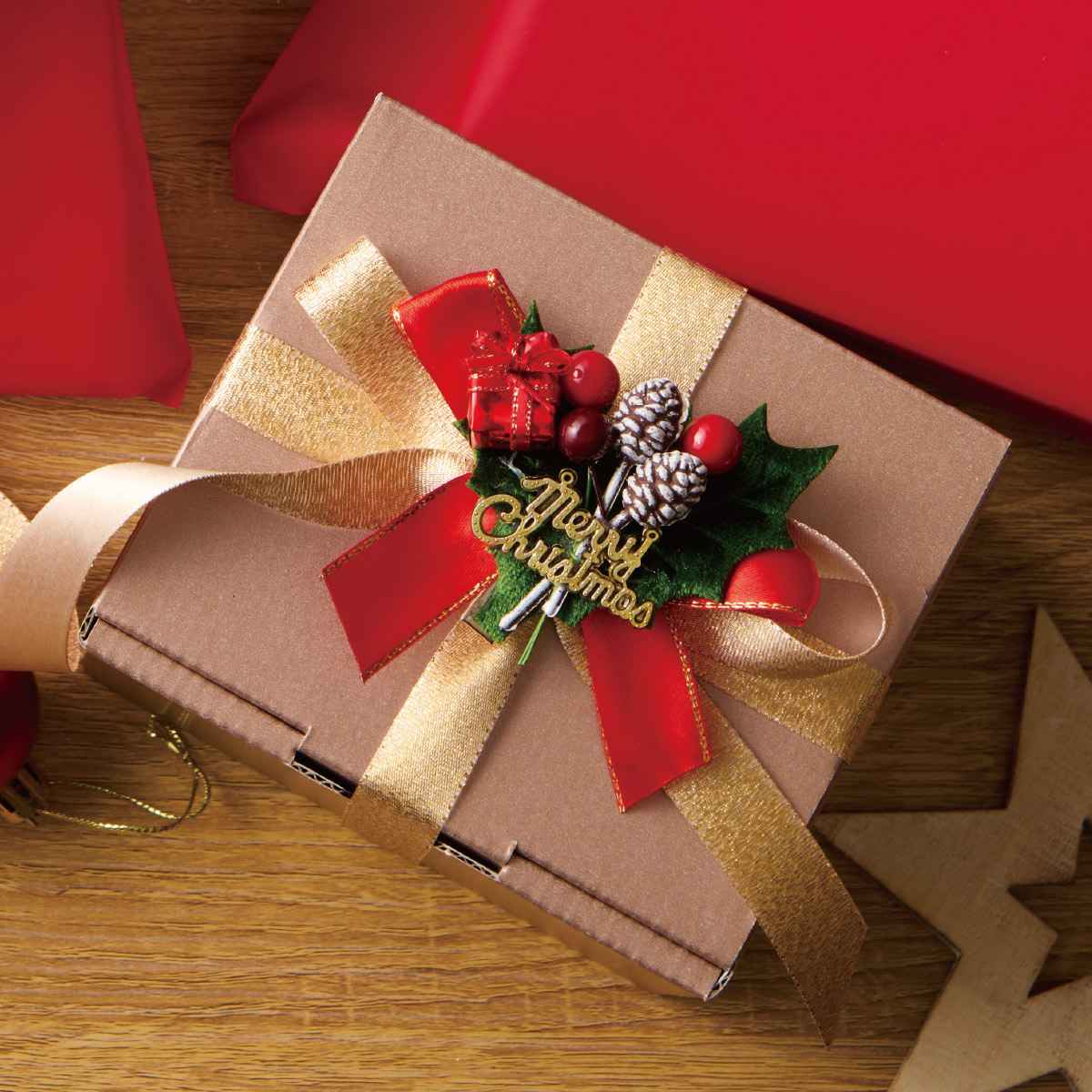 (1)レッド 使用例