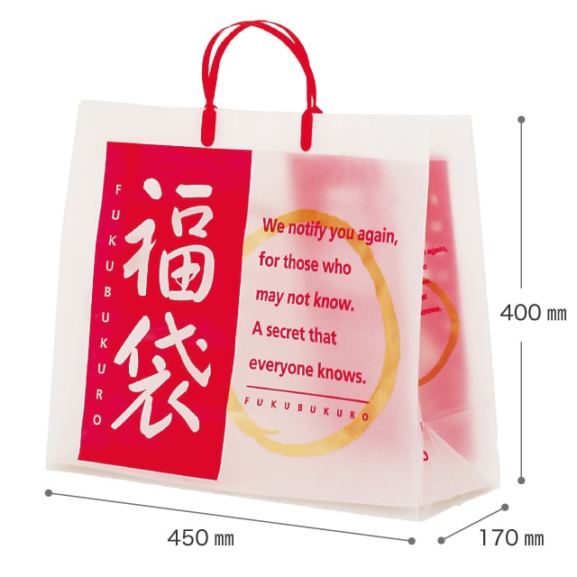 (3)45×17×40cm 10枚