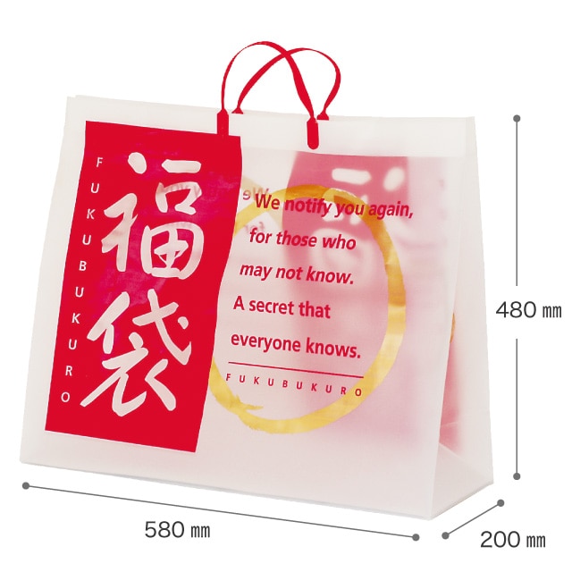 (4)58×20×48cm 10枚