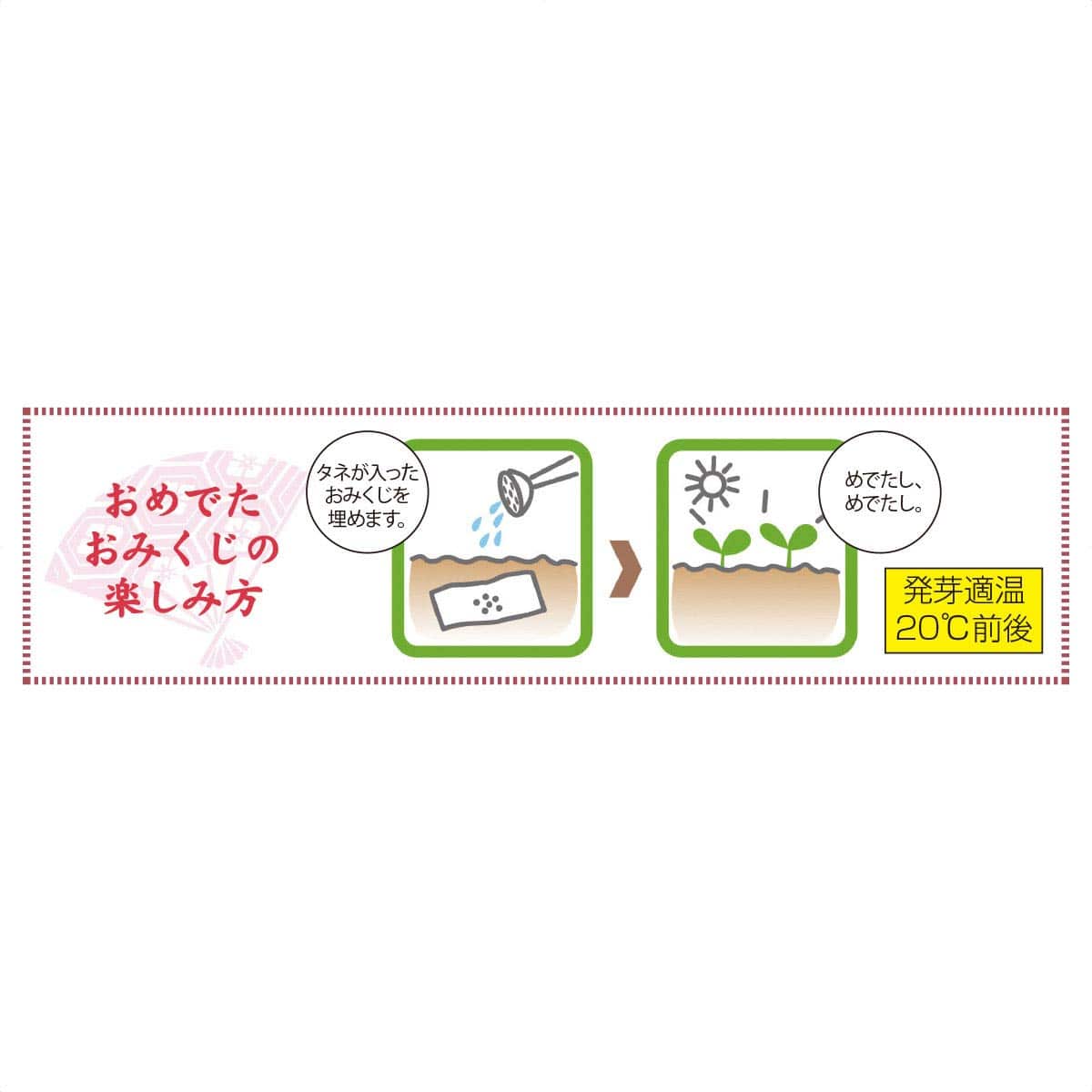 72個 お芽でたおみくじ 富士山