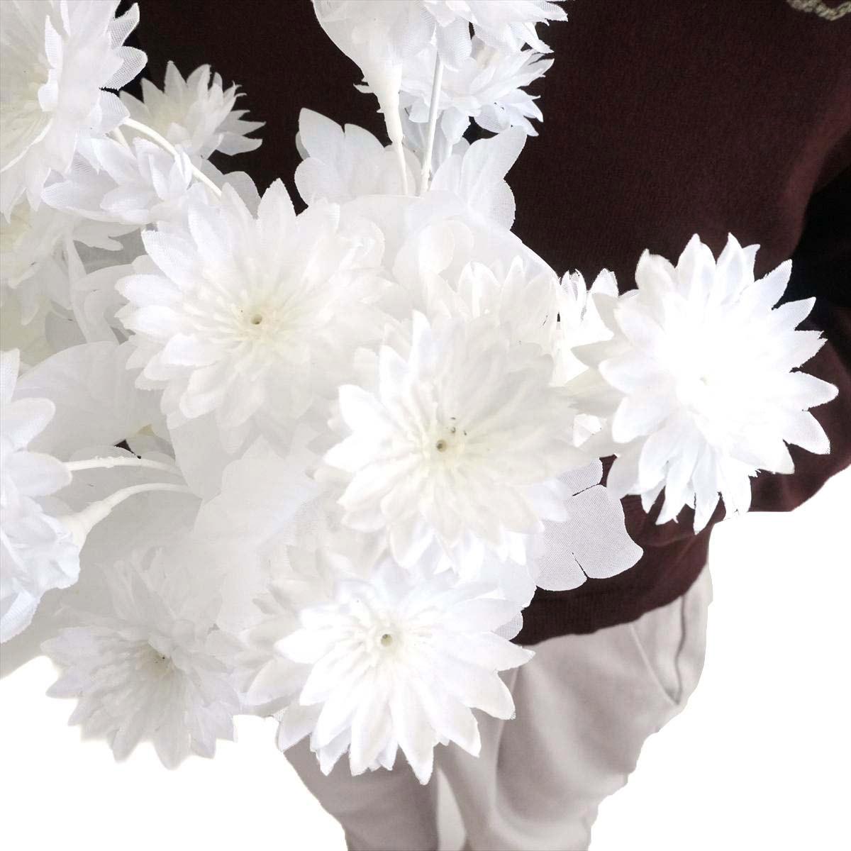 (2)ヤグルマソウ 部分アップ