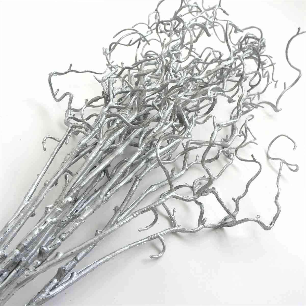 (2)シルバー 部分アップ