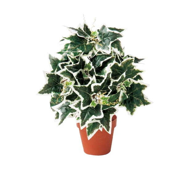 【3個】グリーンブッシュポット (フェイクグリーン)〔ストエキオリジナル〕