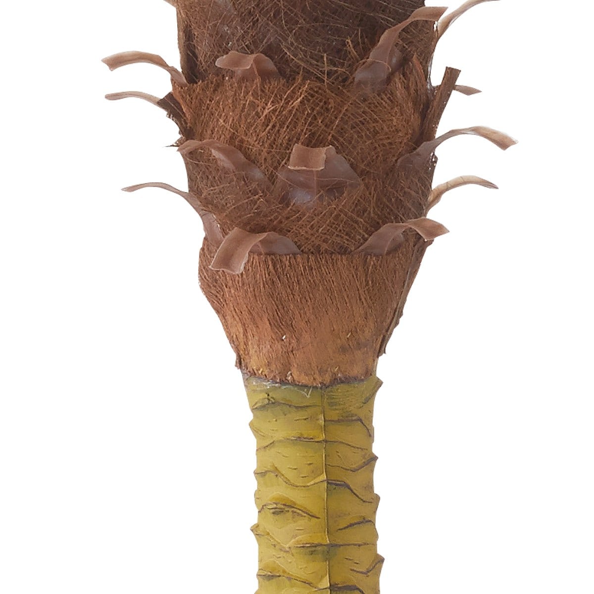 (1)パームツリー