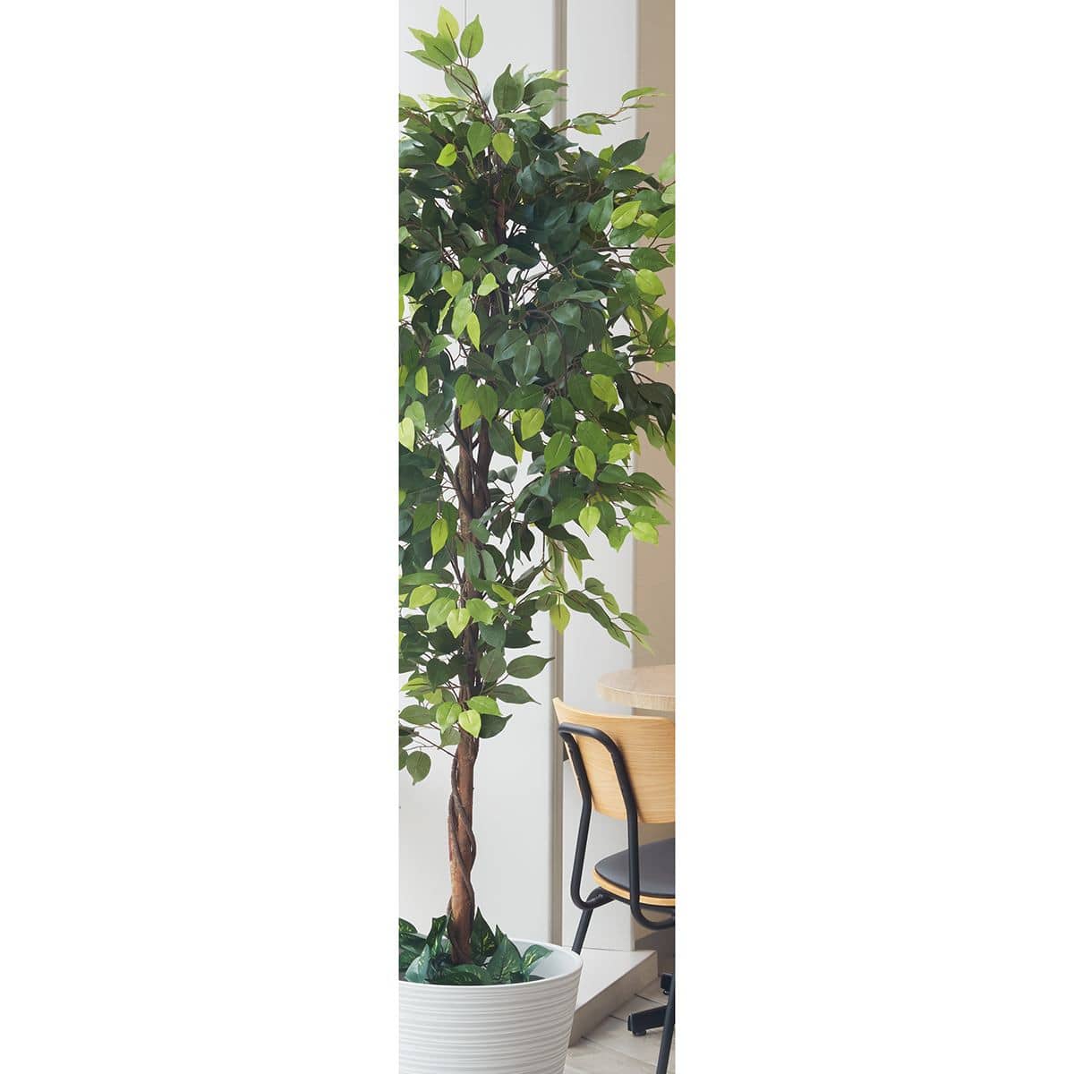 立ち木 人工樹木 フェイクグリーン 人工観葉植物 ベンジャミン