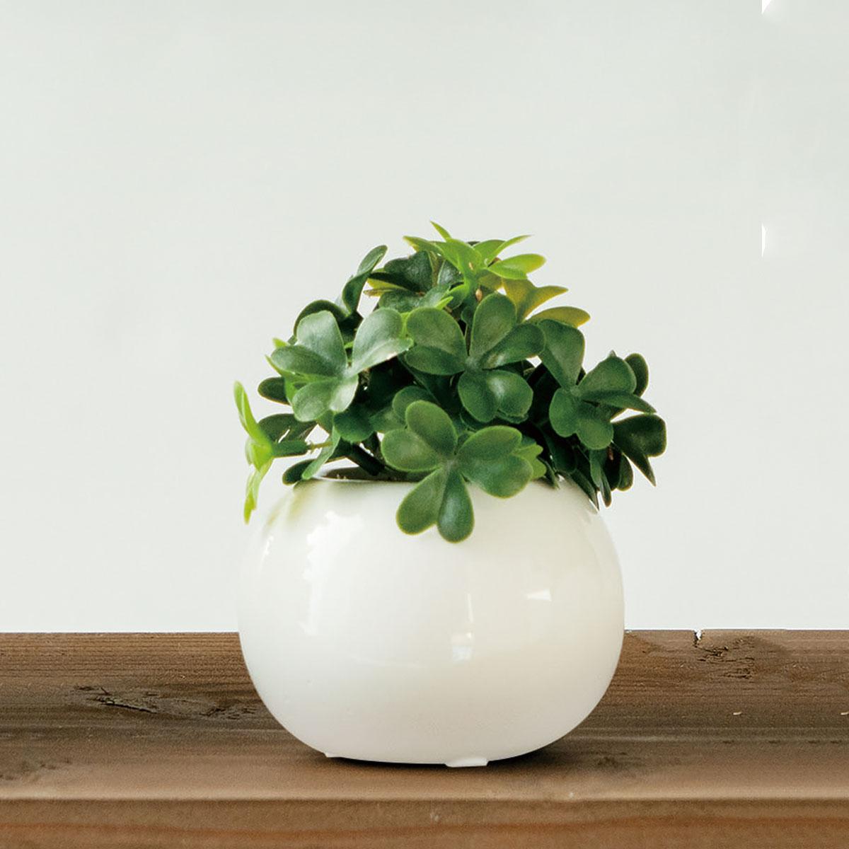 (2)クローバー 使用例