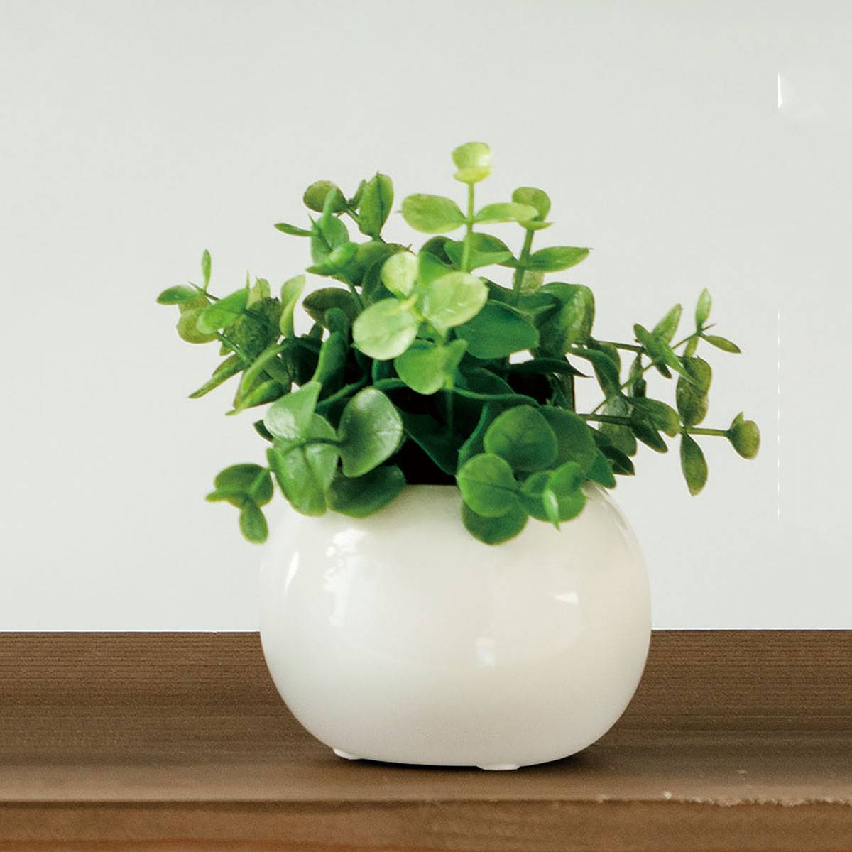 (3)ユーカリ 使用例