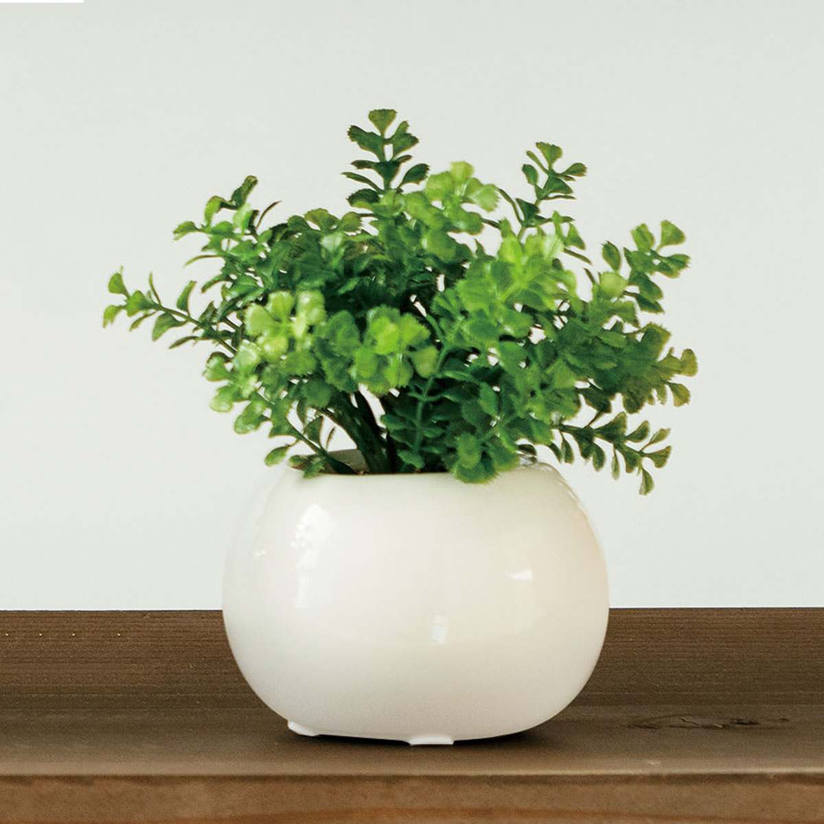 (4)ファンシェイプ 使用例