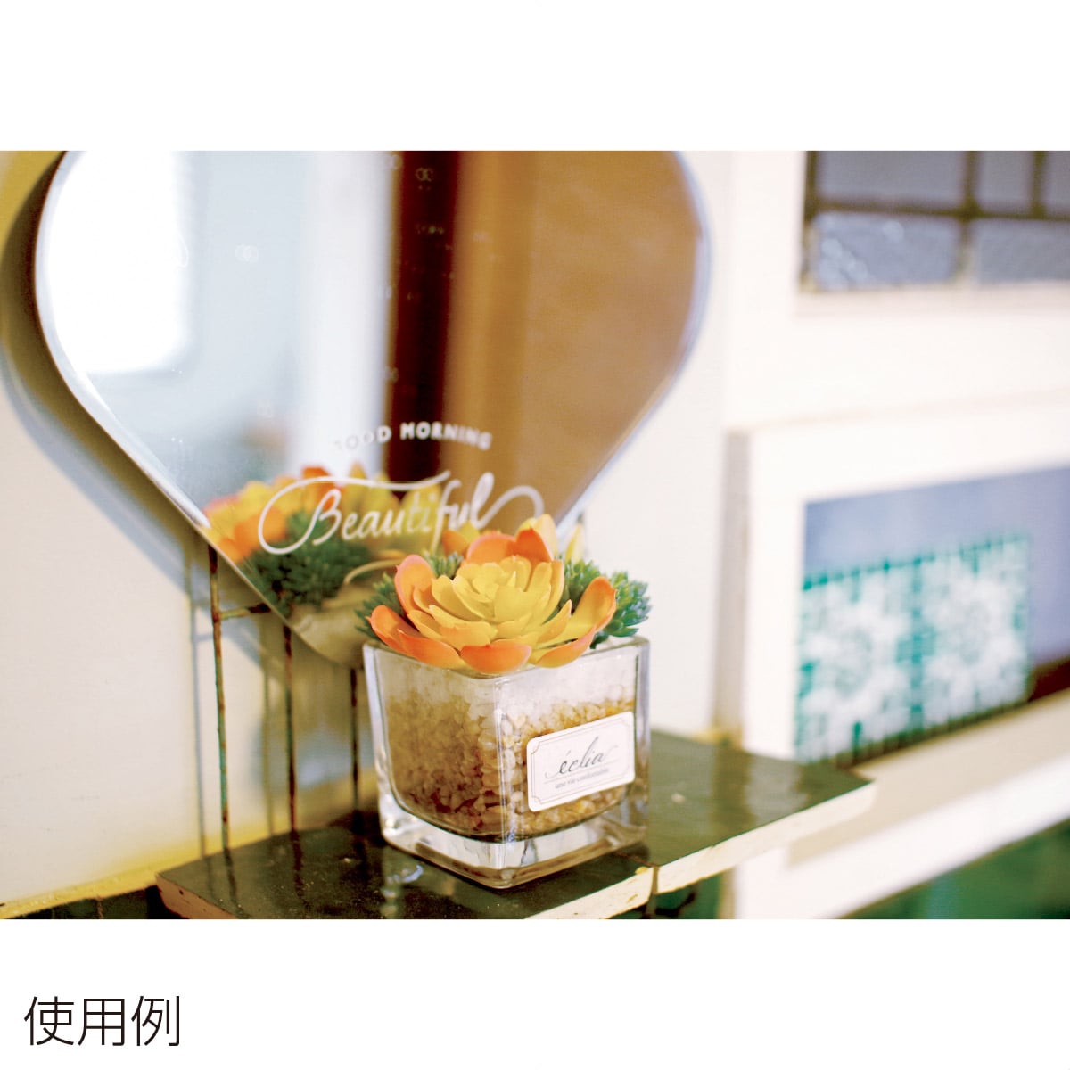 多肉植物 インテリア卓上グリーン【消臭】 ピンク